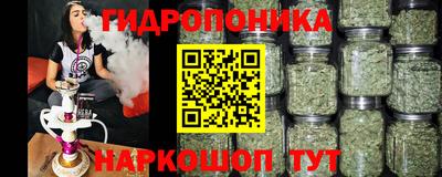 мяу мяу мука Кингисепп
