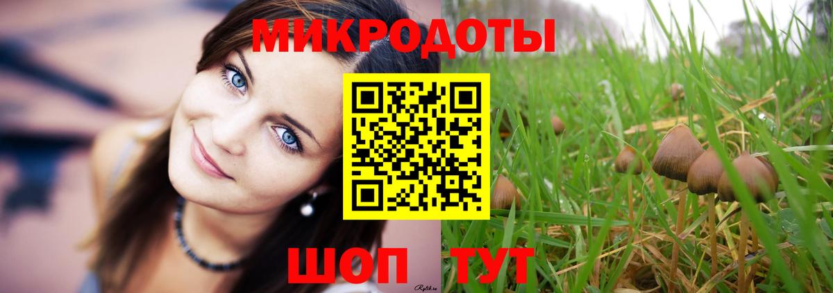 Псилоцибиновые грибы ЛСД Кумертау